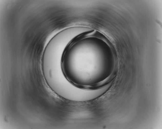 X0000091290960200708171342