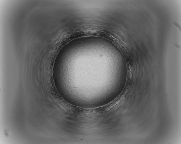 X0000091290961200708171341