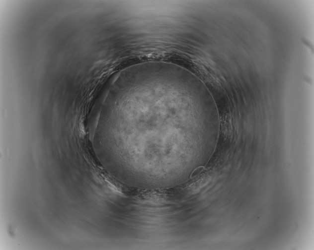 X0000091290962200708171341