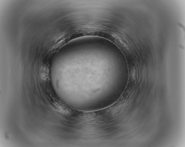 X0000091290964200708171341