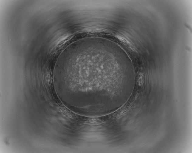 X0000091290966200708171341