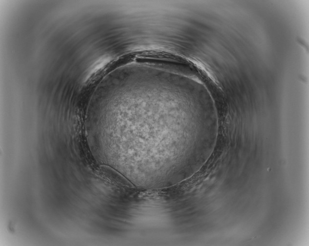 X0000091290967200708171341