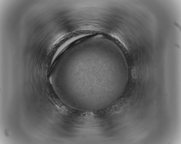 X0000091290968200708171341