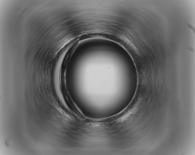 X0000091290969200708171341