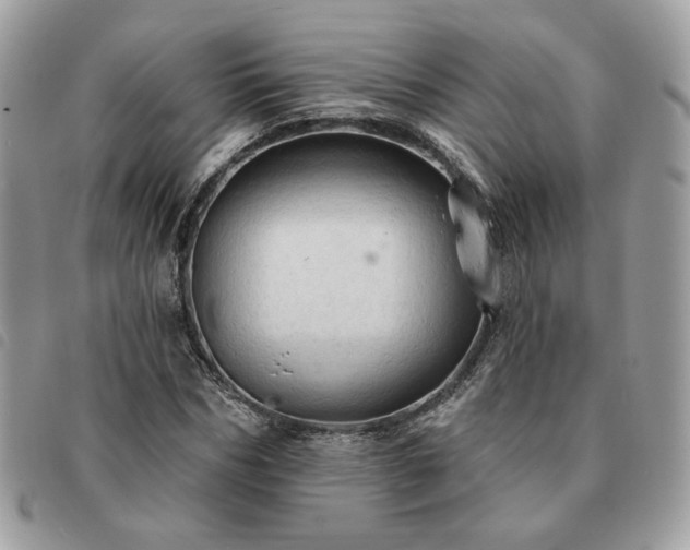 X0000091290970200708171341