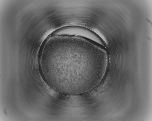 X0000091290972200708171341