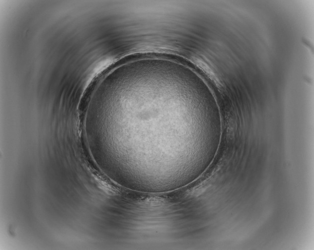 X0000091290974200708171341