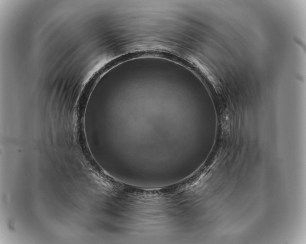 X0000091290975200708171341