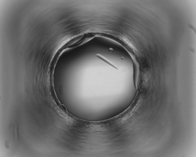 X0000091290976200708171341