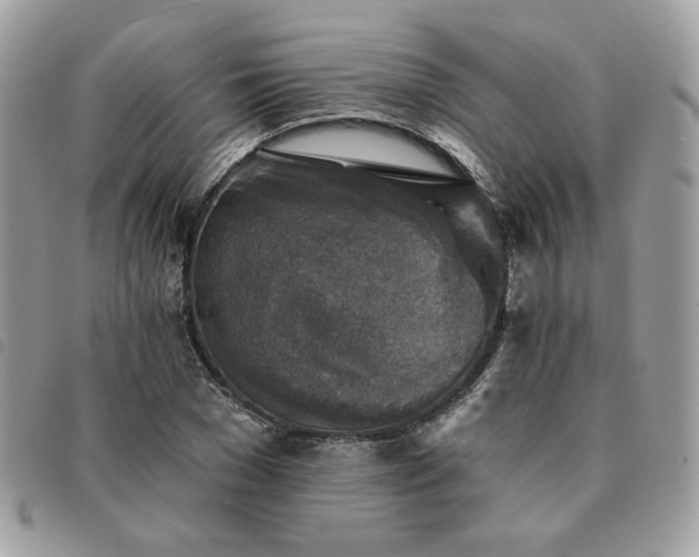 X0000091290977200708171341