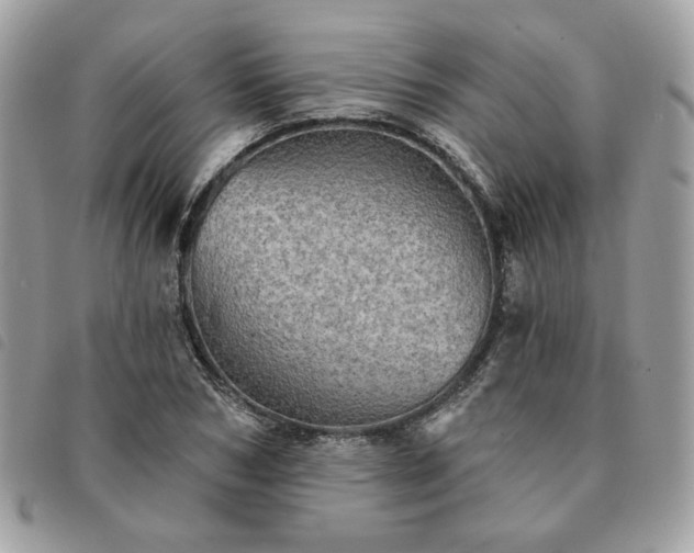 X0000091290978200708171341