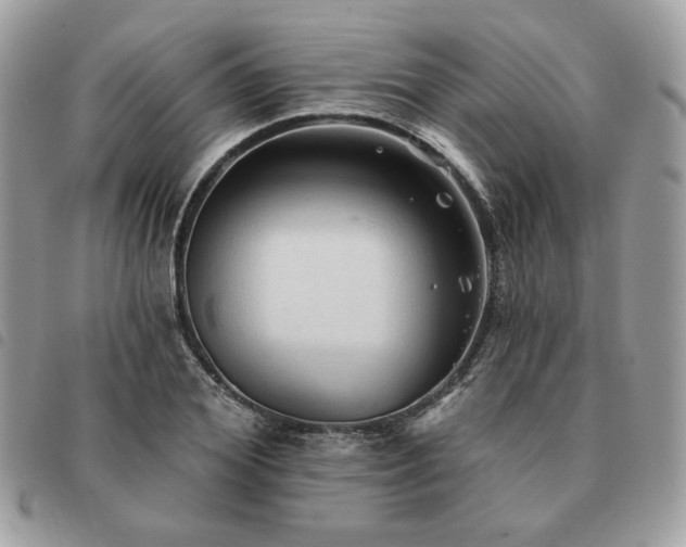 X0000091290980200708171341