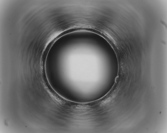 X0000091290981200708171341