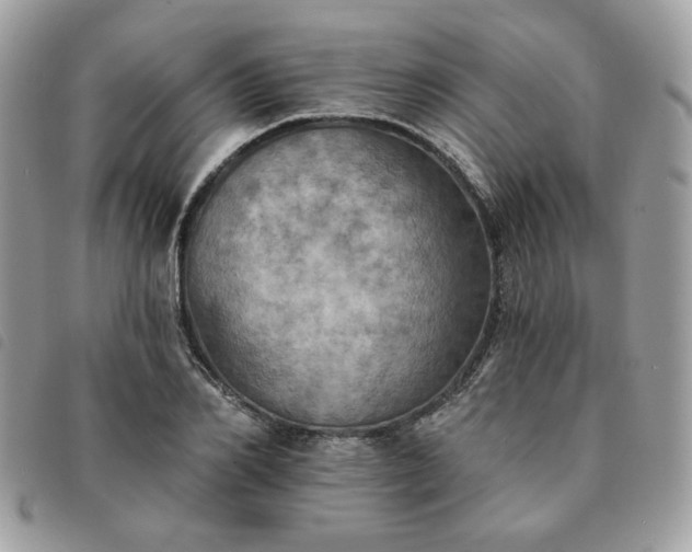 X0000091290982200708171341