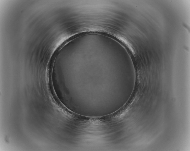 X0000091290983200708171341