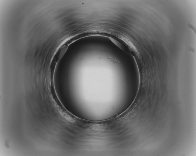 X0000091290984200708171341