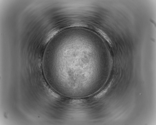 X0000091290985200708171341