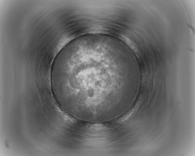 X0000091290986200708171341