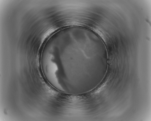 X0000091290987200708171341