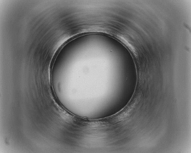 X0000091290988200708171341