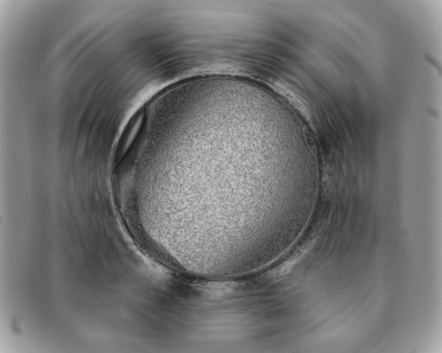 X0000091290989200708171341