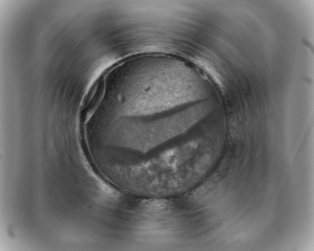 X0000091290991200708171341