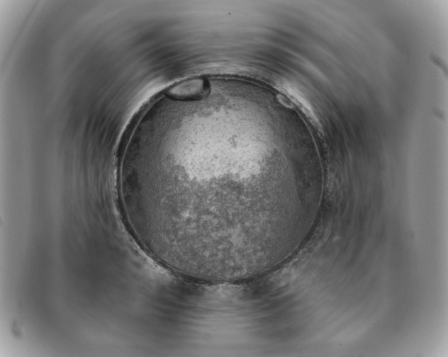 X0000091290992200708171341