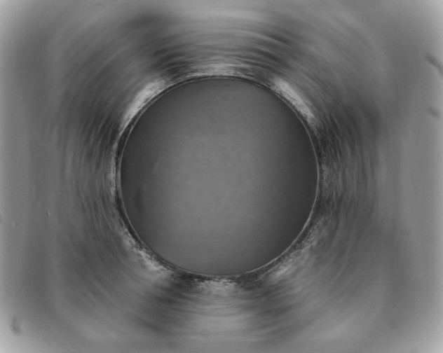 X0000091290994200708171341