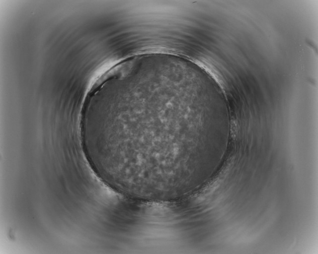 X0000091290995200708171341