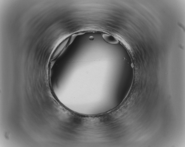 X0000091290996200708171341