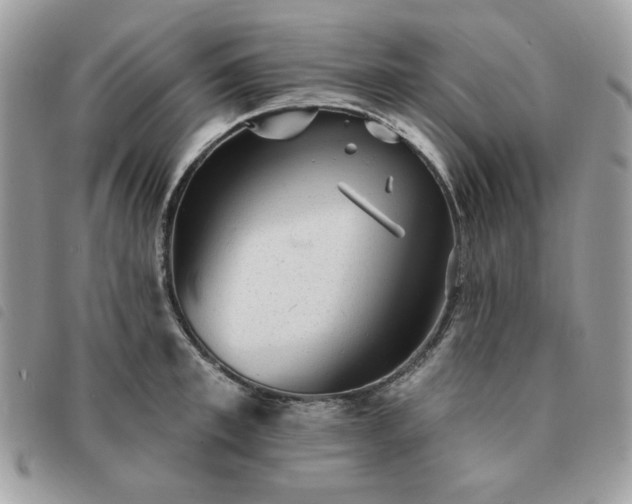 X0000091290997200708171341