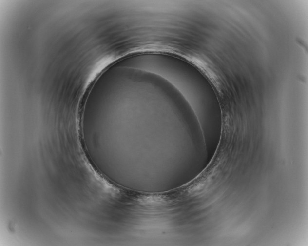 X0000091290998200708171341