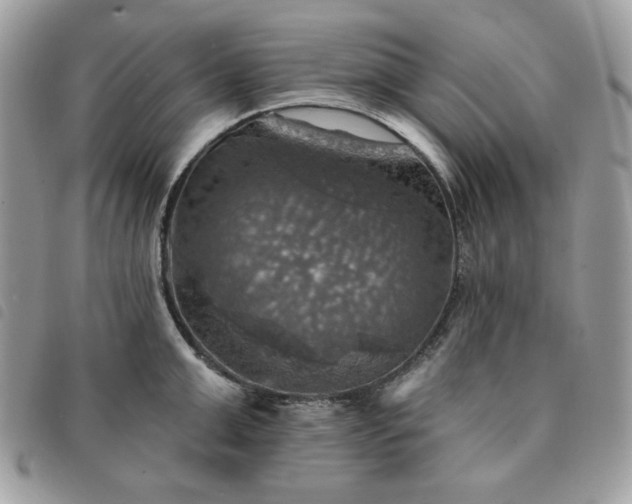 X0000091290999200708171341