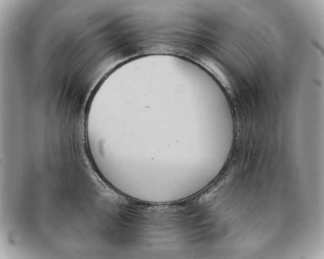 X0000091291000200708171341