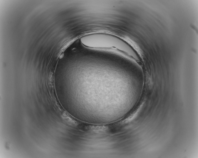 X0000091291001200708171341