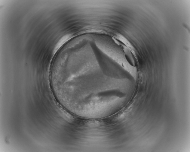 X0000091291002200708171341