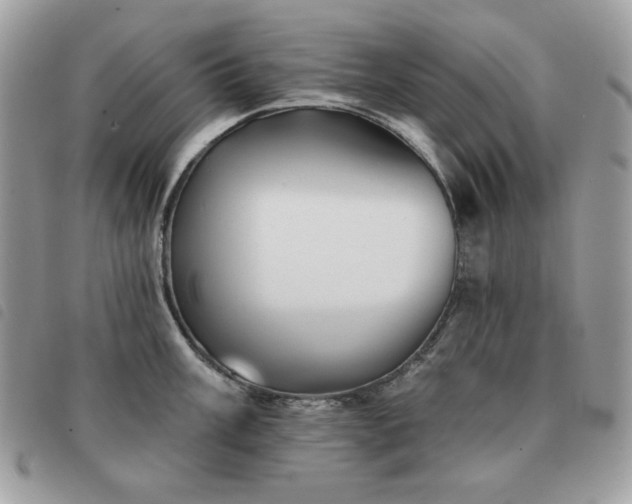 X0000091291003200708171341