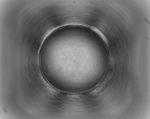 X0000091291004200708171341