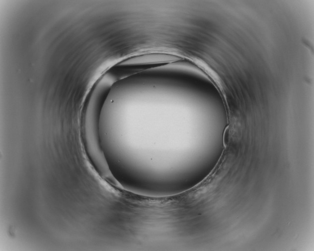 X0000091291005200708171341