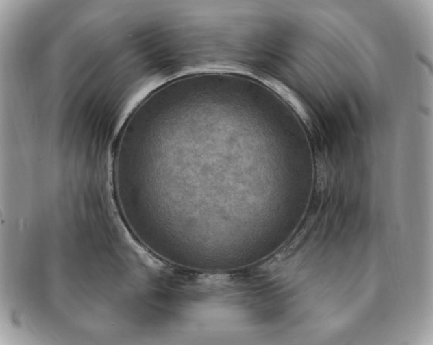 X0000091291006200708171341