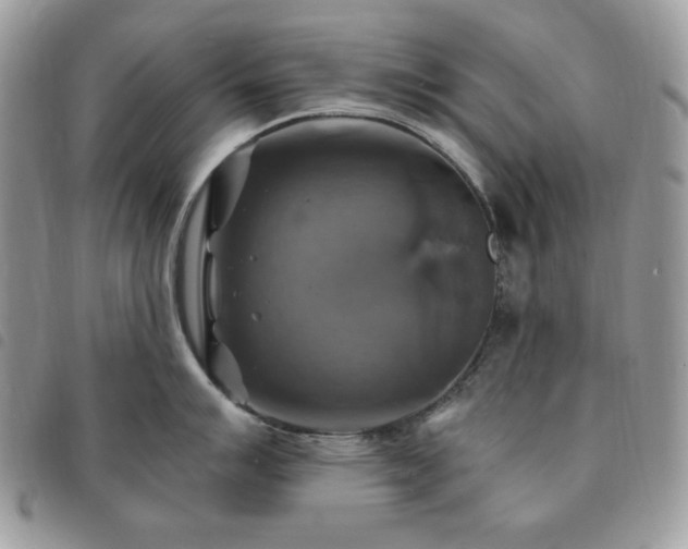 X0000091291007200708171341