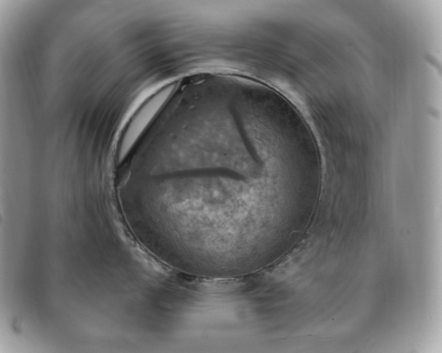 X0000091291008200708171341