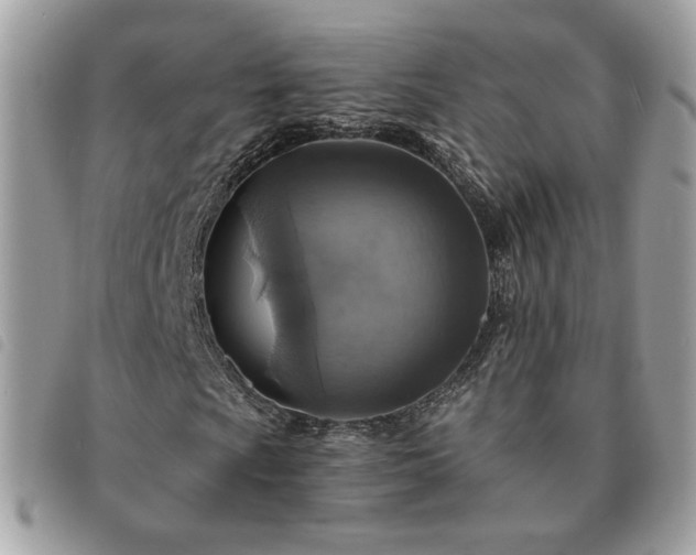 X0000091291009200708171340