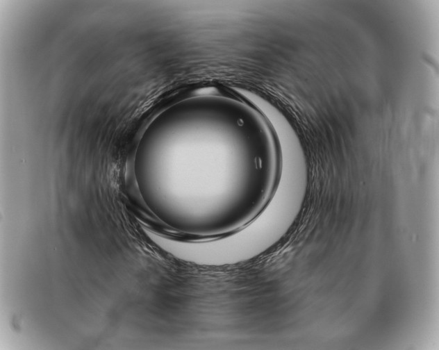 X0000091291010200708171340