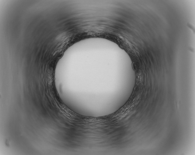 X0000091291012200708171340