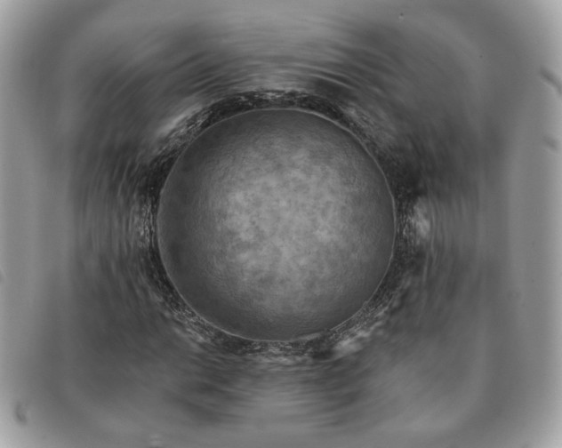 X0000091291014200708171340