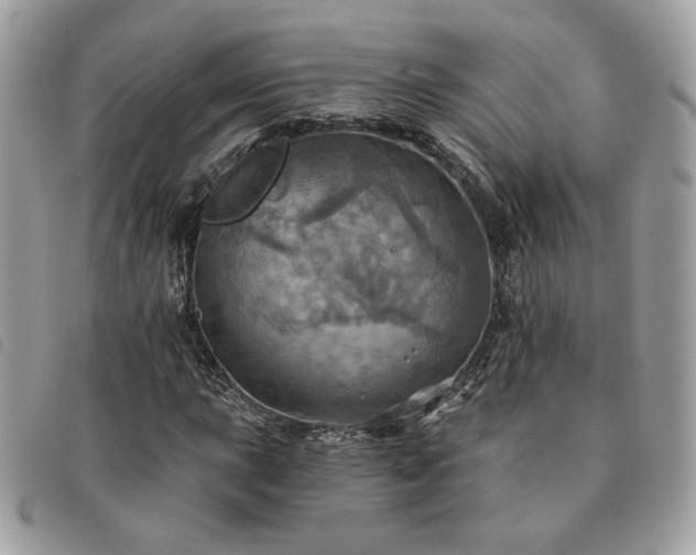 X0000091291015200708171340