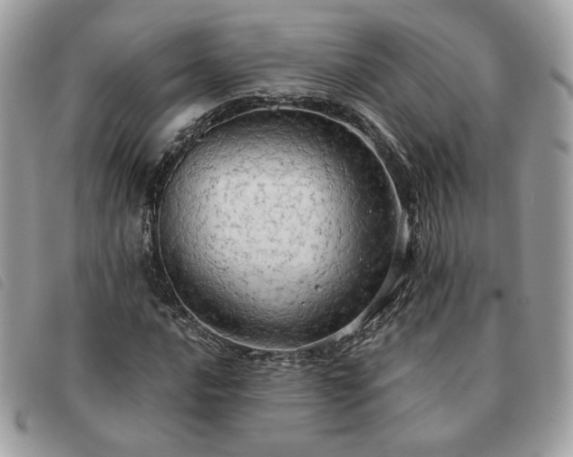 X0000091291016200708171340