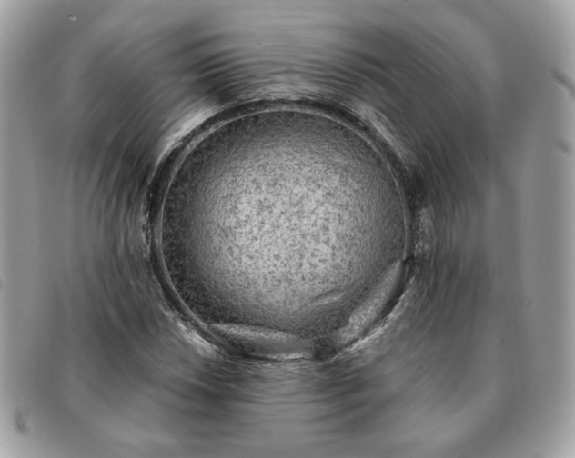 X0000091291018200708171340