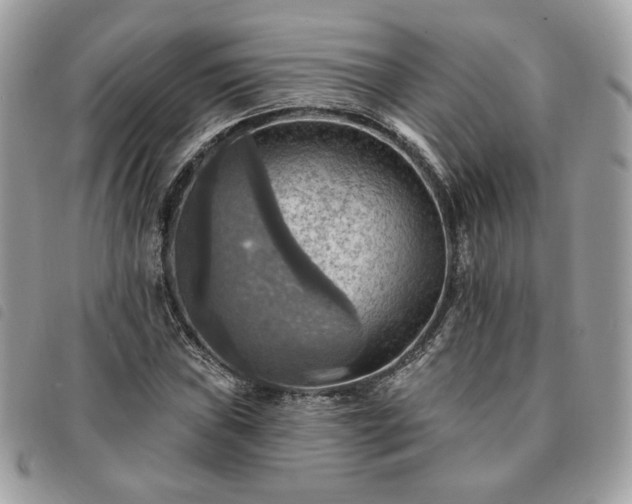 X0000091291019200708171340